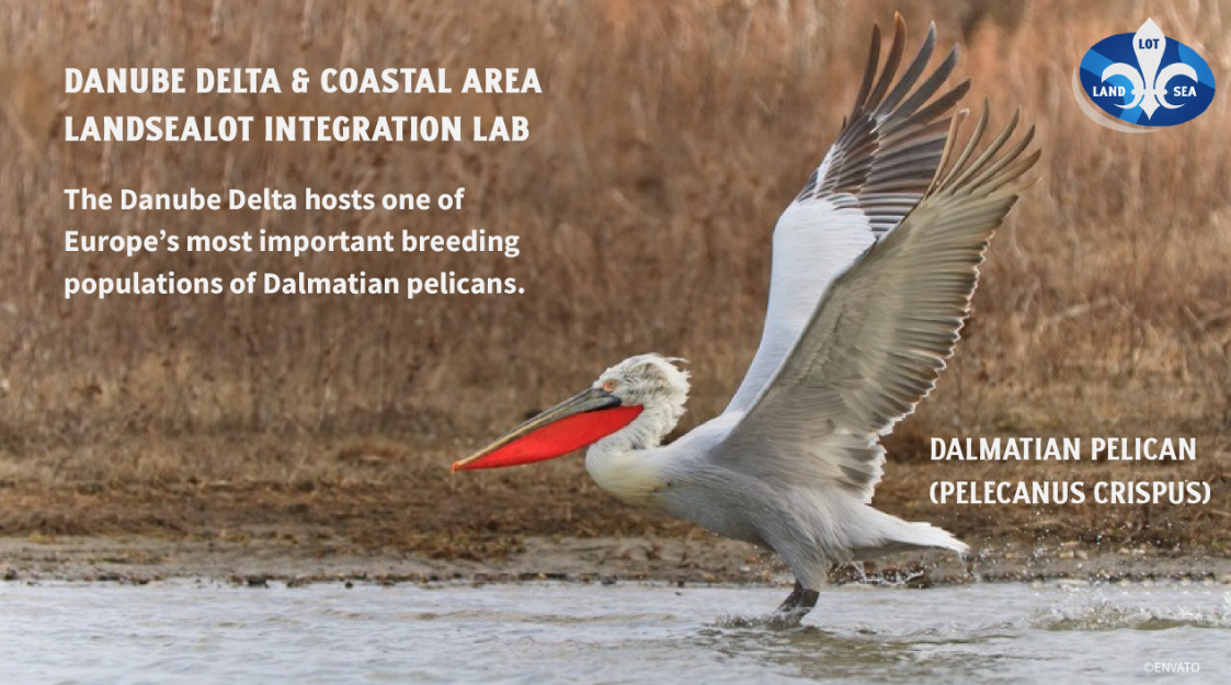 Biodiversity at the LandSeaLot Integration Labs